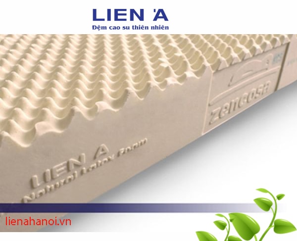 Đệm cao su Convoluted